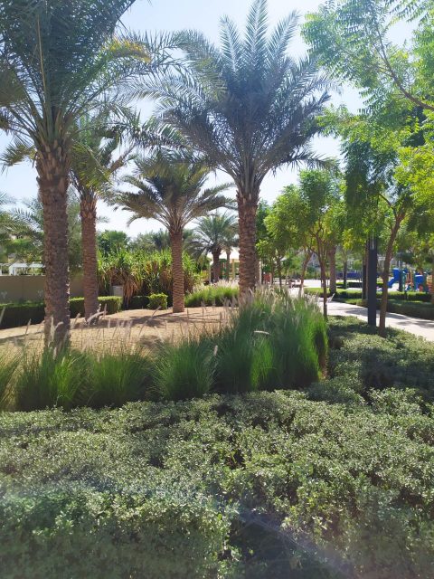 Mudon Central Park – Dubai 2018 - Zeoplant